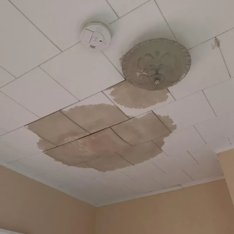 Ceiling Water Damage Repair in Menasha, WI