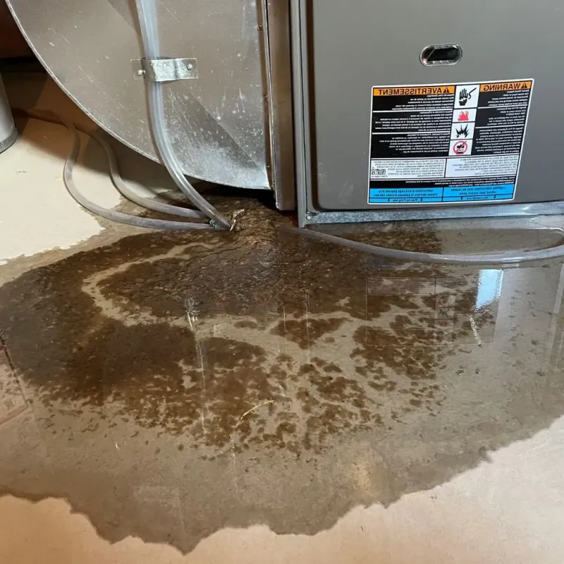 Pipe Burst and Leak Restoration in Menasha, WI